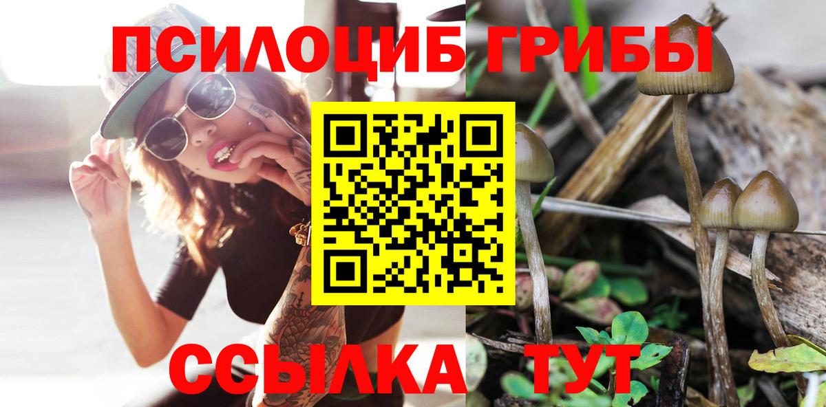 Галлюциногенные грибы мицелий Коммунар